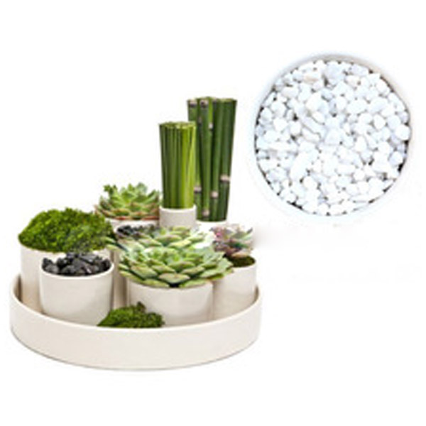 Perlite Fertilizer